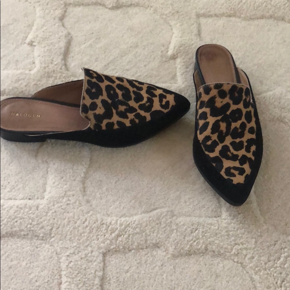 COPY - Halogen mules